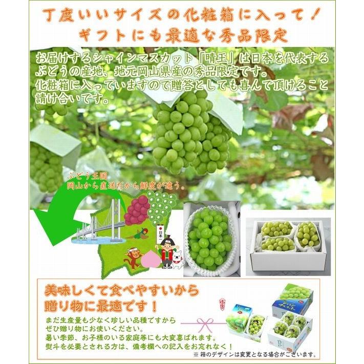 シャインマスカット「晴王」岡山県産 1〜2房 約1kg 9月上旬〜出荷 順次出荷致します。数量限定