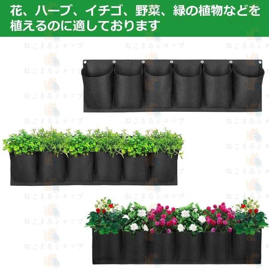 栽培ポット 吊下げ 苗 栽培 菜園 プランター 屋内 植物 観葉植物 育てる プレゼント