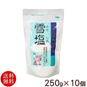 雪塩 250g×10個 　 沖縄 宮古 塩