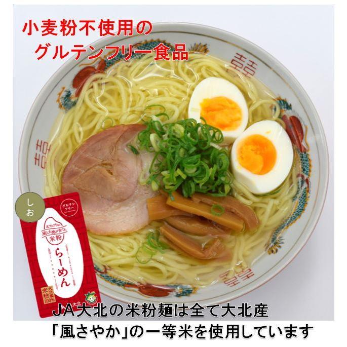 グルテンフリー米粉ラーメン（グルテンフリーの塩スープ付）（２食入り）米粉麺