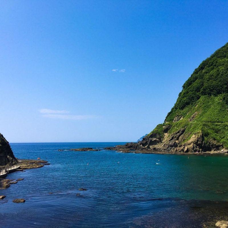 黒帯 活蝦夷鮑 北海道 天然 蝦夷 あわび 刺身 活 黒アワビ 特大 大サイズ 500g 5-7個入