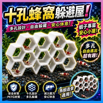 放風水族【十孔蜂窩躲避屋】 異形魚躲避屋 鼠魚躲避洞 大帆鬍子繁殖屋 魚缸造景 陶瓷躲避屋 水族造景 觀賞蝦屋 魚蝦躲避