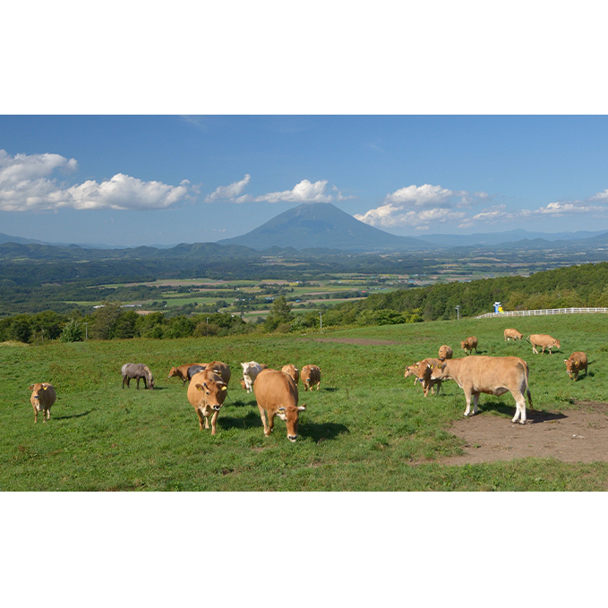 洞爺 あか牛 焼肉用 (バラ肉) 1kg(200g×5パック) 北海道 洞爺湖