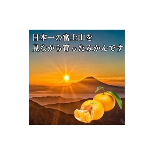 ふるさと納税 静岡県 沼津市 寿太郎 みかん 約 10kg  産地直送 柑橘 西浦 沼津 蜜柑　訳あり