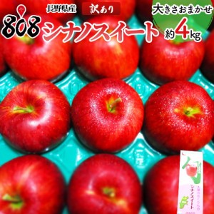 訳あり シナノスイート 大きさおまかせ 約4kg(北海道沖縄別途送料加算)ご家庭用 訳有 訳あり 訳ア ワケあり リ