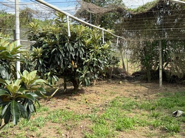 降價專任親友件近新社公所平坦農地台中不動產仲介｜台中市新社區復盛段