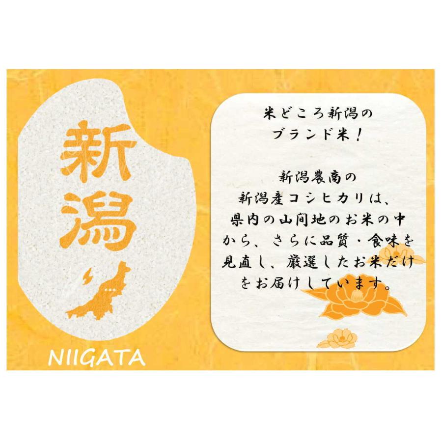 新米 令和５年産 お米 10kg 送料無料 新潟産 コシヒカリ 玄米