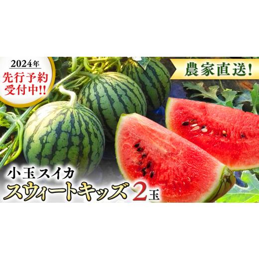 ふるさと納税 茨城県 桜川市  農家直送 小玉スイカ スウィートキッズ ２玉 セット 先行予約 農家直送 すいか フルーツ 旬 甘い …