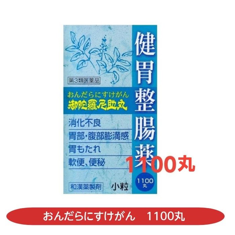 おんだらにすけがん 御陀羅尼丸 1100丸 消化不良 胃部・腹部膨満感 胃 