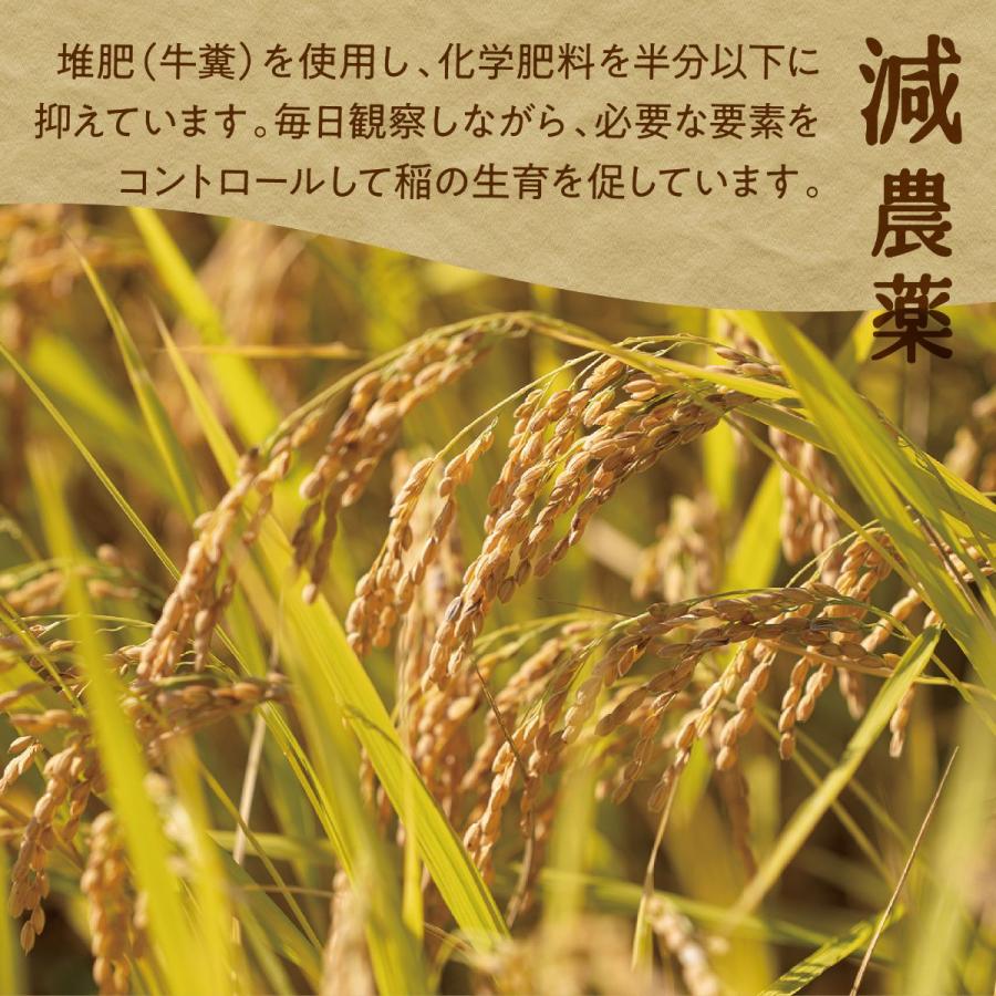 令和5年産 新米 金賞農家の飛騨産 若玄米 緑色玄米 青米 2.7kg 900g×3袋 青玄米 青の玄米 玄米 健康米 飛騨の米 米 みつわ農園 農家直送 送料無料