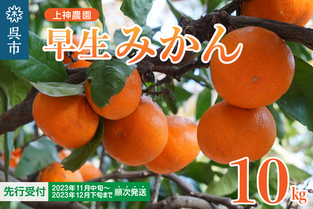 上神農園の早生みかん 約10kg