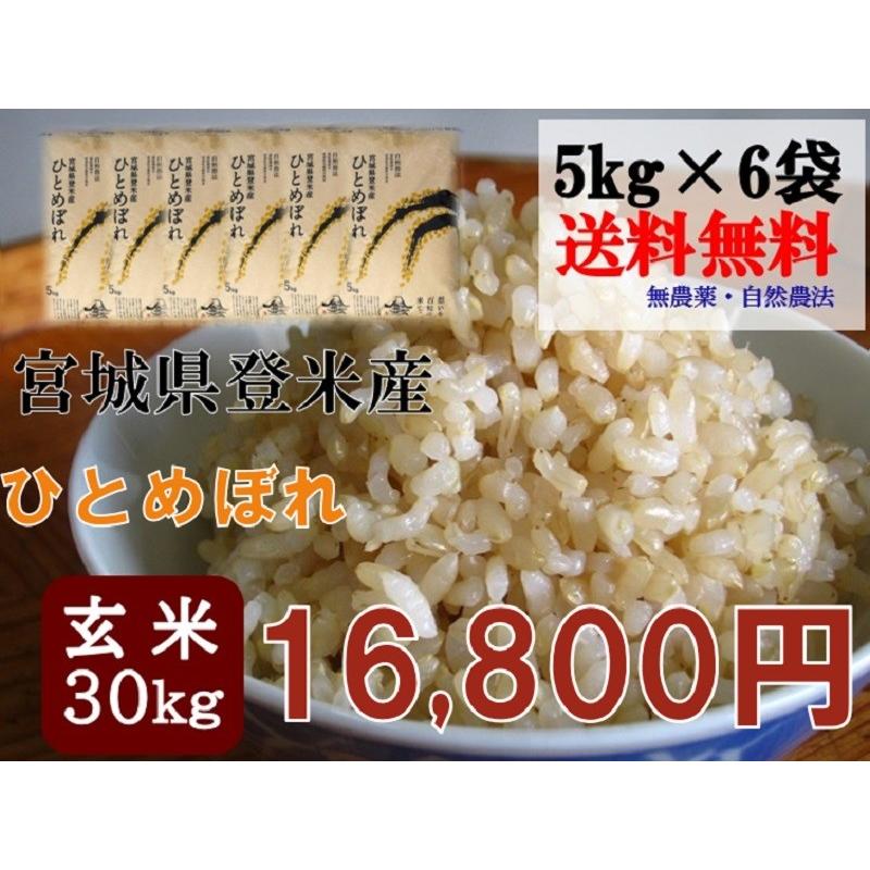 米 お米 令和5年産  ひとめぼれ 30kg (5kg×6袋) 玄米 送料無料   宮城 登米 米 特別栽培米 農薬・化学肥料不使用