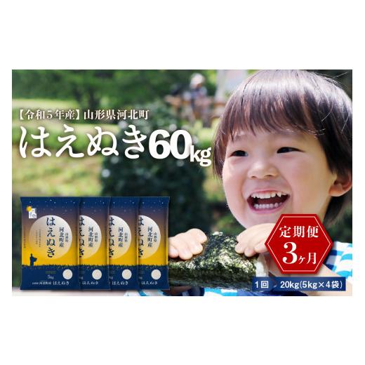 ふるさと納税 山形県 河北町 ※2024年2月上旬スタート※ はえぬき60kg（20kg×3ヶ月）定期便 山形県産