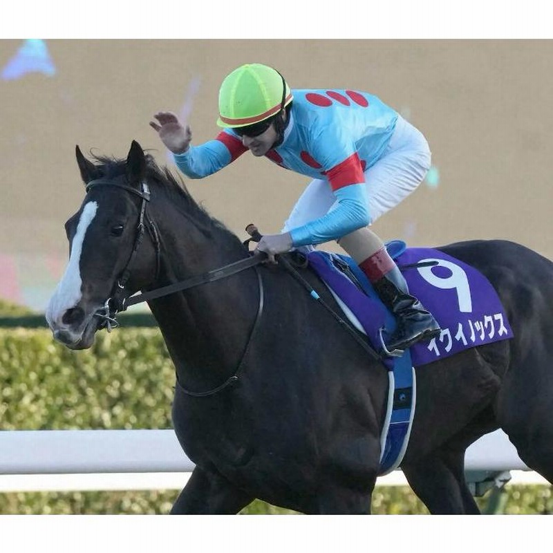 イクイノックスドバイシーマクラシックセット