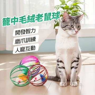 🌈愛寵✨貓咪玩具 鐵籠老鼠 貓玩具 帶籠子老鼠寵物逗貓玩具 寵物玩具 自嗨解悶