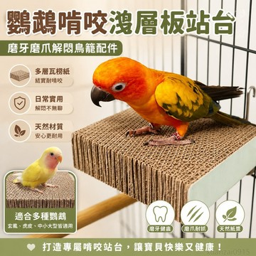鸚鵡玩具啃咬髮洩韆層闆瓦楞站臺玄鳳虎皮磨牙磨爪解悶鳥籠配件 鸚鵡趣味玩具 中小大型鸚鵡玩具 鸚鵡站台 鸚鵡鳥籠 鳥玩具