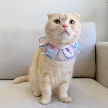 【恰氏手作】白兔芭蕾 小花瓣蕾絲寵物領巾 貓咪狗狗項圈領巾