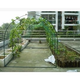 【植物爬藤瓜架-圓頂-L200*W200*H200cm-1套/組】樓頂種菜爬藤 菜架 攀藤架子 植物園藝支架-5101013