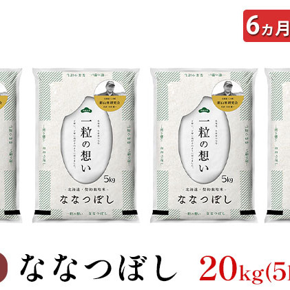 6ヵ月連続お届け　銀山米研究会のお米＜ななつぼし＞20kg