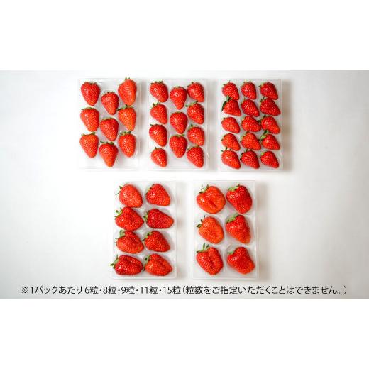 ふるさと納税 福岡県 北九州市 小倉の苺やさん「わがこいちご」 260g×2パック×3回
