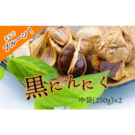 ふるさと納税 黒にんにく「土佐の隠し玉」　2袋×250g 高知県いの町