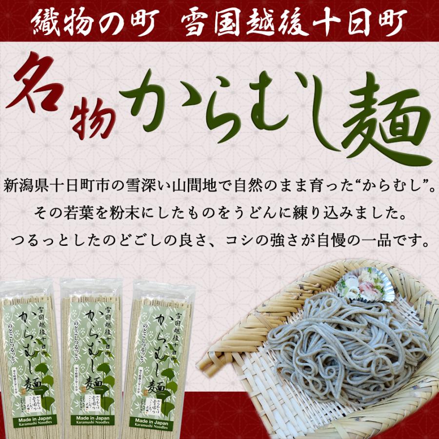 うどん 乾麺 新潟名物 からむし麺 200g×3袋 送料無料 ポイント消化 paypay消化