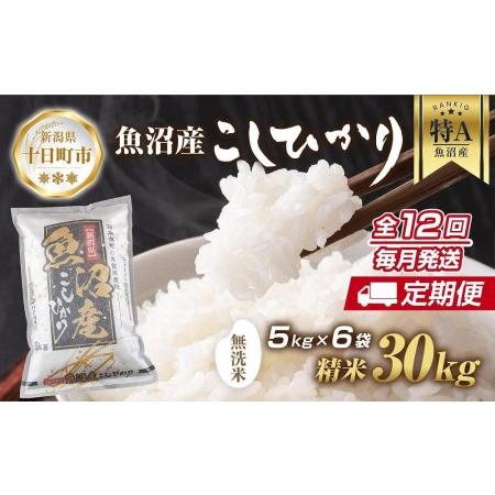 定期便3ヶ月》令和5年産 おばこの匠 秋田県産あきたこまち 20kg×3回 計