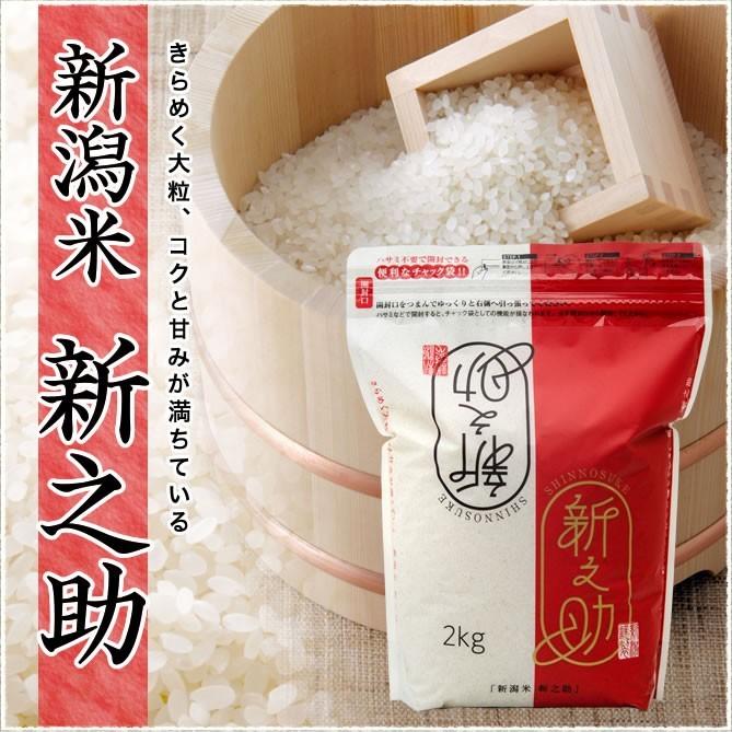 新米 お米 新之助 10kg (5kg×2袋 保存チャック袋)  令和5年産新潟産 送料無料 (北海道、九州、沖縄除く)