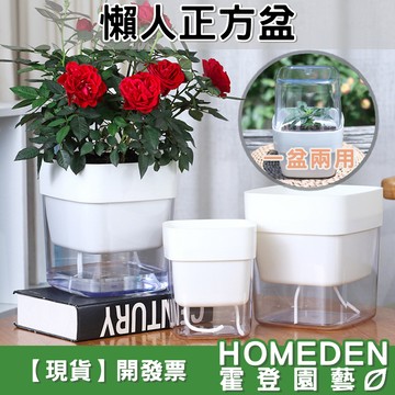 【隔日到貨】懶人正方盆 懶人花盆 透明花盆 棉繩自動吸水花盆 免澆水蓄水盆 免澆水花盆 塑膠盆【HOMEDEN霍登園藝】