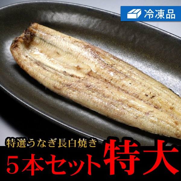 冷凍特選うなぎ長白焼き特大5本セット