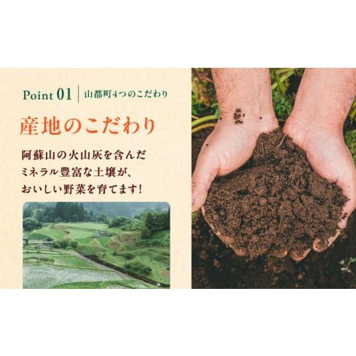 ふるさと納税 熊本県 山都町 新米 有機米 2kg 旬の野菜 5種 野菜セット 有機JAS認定 熊本県産 オーガニック野菜 山都町産 産地直送 熊本直送【株式会社 肥後や…