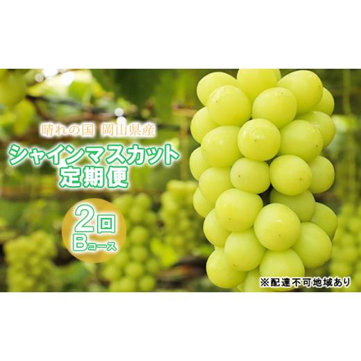 ふるさと納税 岡山県 里庄町 ぶどう 2024年 先行予約 晴れの国 岡山県産 シャインマスカット定期便 2回コース-B フルーツ 果物 岡山