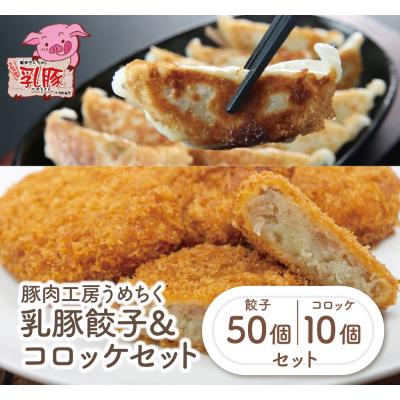 ふるさと納税 福智町 乳豚 餃子50個コロッケ10個セット