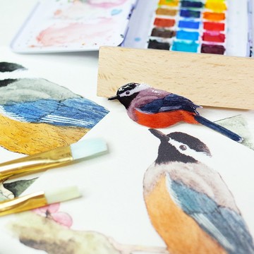 臺灣特有種 白耳畫眉 繪畫別針 胸針