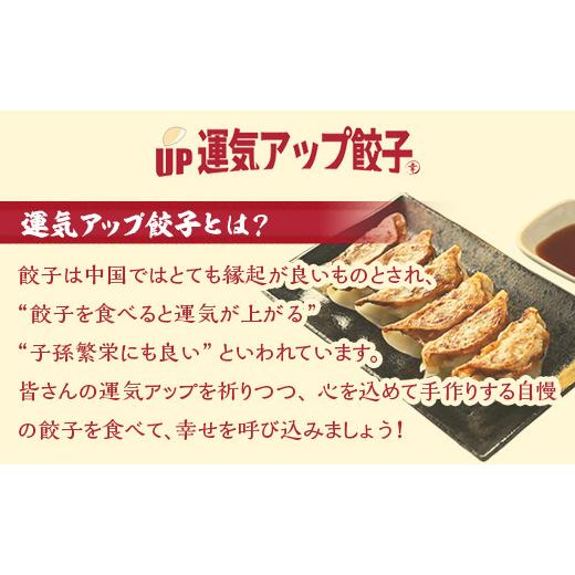 ふるさと納税 栃木県 宇都宮市 宇都宮餃子　ちょう×3いい感じ餃子　合計100個　保存料不使用