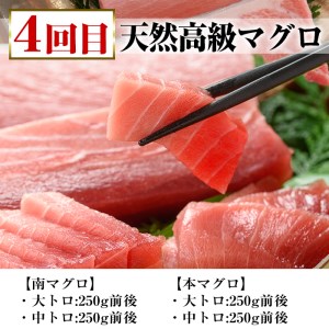 ＜6ヶ月定期便＞いちき串木野プレミアム定期便（マグロ・鰻・牛肉）