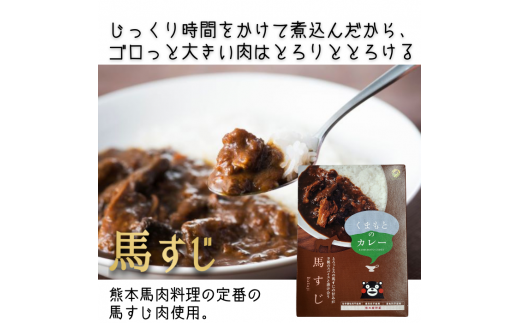 くまもとのカレー2種セット