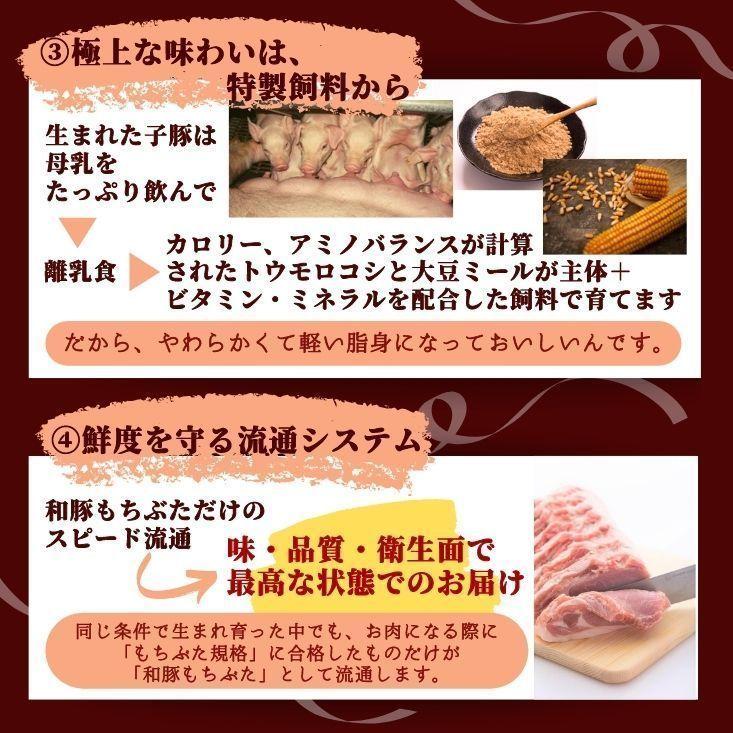 豚肉 味噌漬け 和豚もちぶた 豚 ロース 味噌 漬け 塩糀漬け 10枚 1kg 送料無料 国産 厚切り 豚肉 味付け肉 豚肉 ギフト 焼肉 新潟県 産直 豚肉 プレゼント