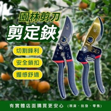 【台灣現貨🔥免運🔥24H出貨】園藝剪刀 花剪 園林剪刀 剪定鋏 修枝剪 樹枝剪 果樹剪 採果剪 園藝剪 園藝 興雲網購