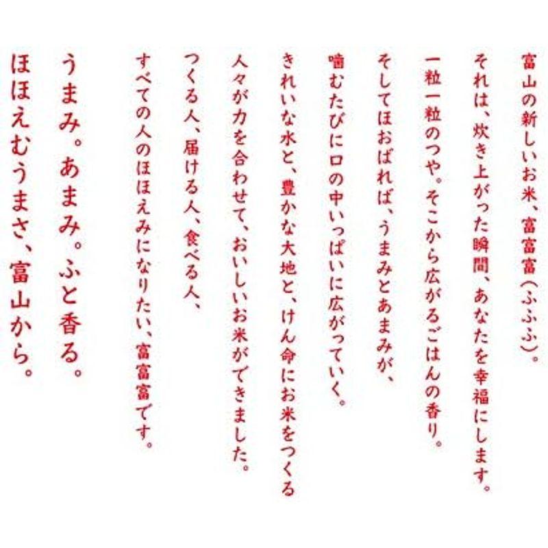 精米 富山県 富富富 白米 5kg 令和4年産