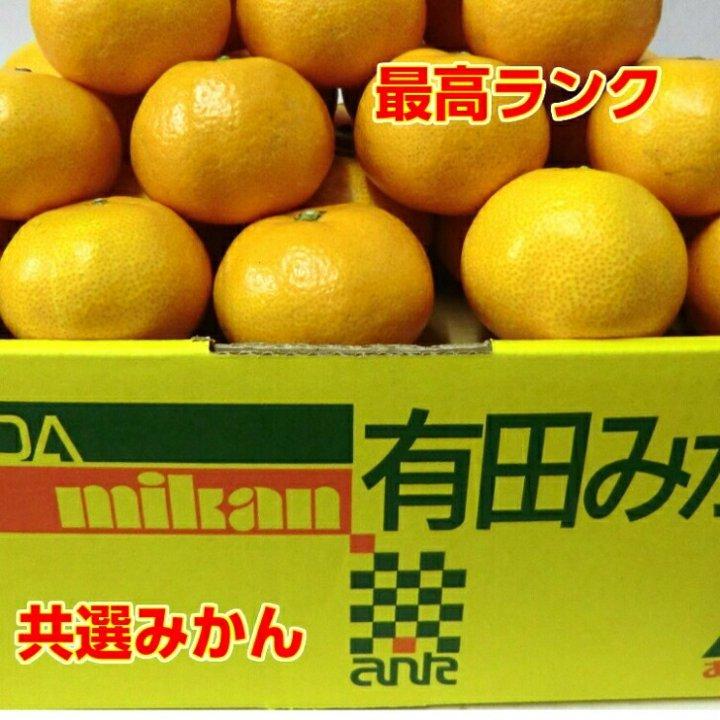 みかん 送料無料 5kg 秀品赤 M 有田みかん 和歌山 有田共選 お歳暮 お