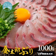 宮崎産 金太郎ぶり 1000g(冷凍)