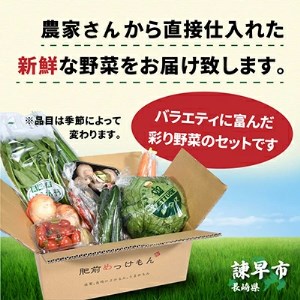 諫早産野菜の詰め合わせ(8～9品目程度)