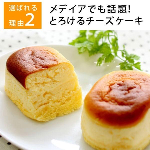 お歳暮 2023 チーズケーキ 5個入 個包装 取り寄せ スイーツ ギフト 洋菓子 食べ物 プレゼント お取り寄せ 高級 おしゃれ お菓子 誕生日 手土産 絶品