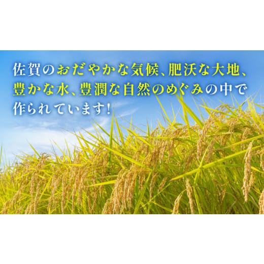 ふるさと納税 佐賀県 吉野ヶ里町 特A獲得！さがびより無洗米8kg（2kg×4袋）総計40kg 吉野ヶ里町／大塚…