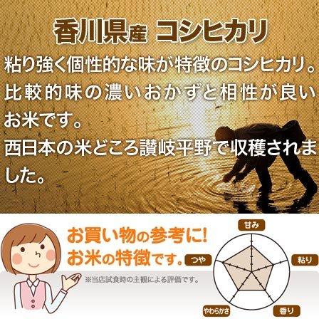 香川県産 コシヒカリ 白米 25kg(5kg×5袋) 令和4年産