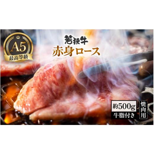 ふるさと納税 福井県 美浜町 [m54-b001]肉 A5若狭牛 赤身ロース 焼肉用 約500g 牛脂付き 黒毛 和牛 黒毛和種