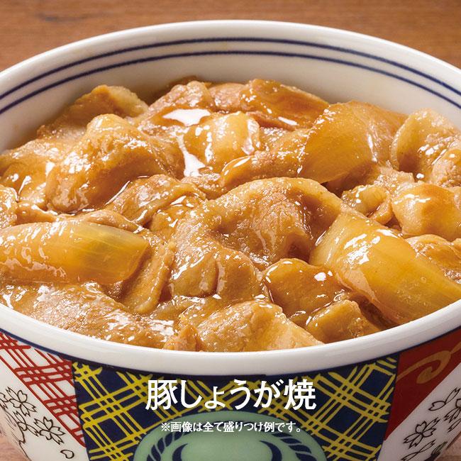 吉野家 お試しセット 6種各2食セット 12袋 牛丼 牛焼肉丼 豚丼 親子丼 豚しょうが焼 焼鶏丼 レトルト 簡単 便利 夜食 昼ごはん ストック おかず