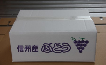 ぶどう 先行予約 長野市産 シャインマスカット3～4房 約2kg 朝採り 葡萄 ブドウ フルーツ 果物 シャイン マスカット デザート おやつ 信州 2024年秋発