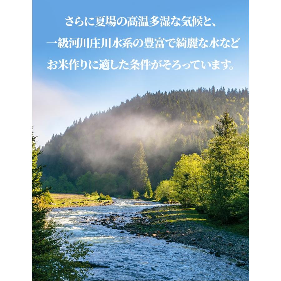 12 7エントリーで 4％    富山県産 コシヒカリ 玄米 5kg 米 コメ こめ お米 おこめ